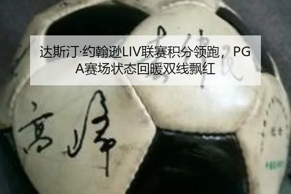 da-si-ting-yue-han-xun-lian-sai-ji-fen-ling-pao-sai-chang-zhuang-tai-hui-nuan-shuang-xian-piao-hong-2-262.jpg