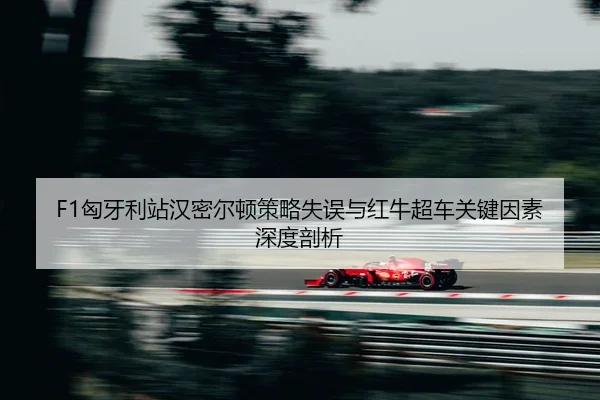 xiong-ya-li-zhan-han-mi-er-dun-ce-lve-shi-wu-yu-hong-niu-chao-che-guan-jian-yin-su-shen-du-pou-xi-2-382.jpg
