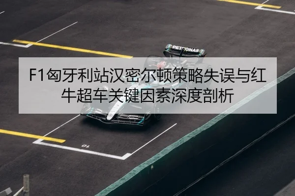 xiong-ya-li-zhan-han-mi-er-dun-ce-lve-shi-wu-yu-hong-niu-chao-che-guan-jian-yin-su-shen-du-pou-xi-3-330.jpg