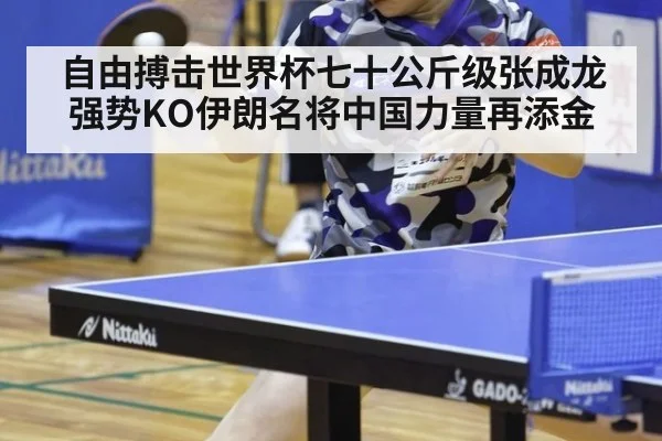 自由搏击世界杯七十公斤级张成龙强势KO伊朗名将中国力量再添金